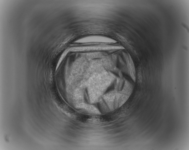 X0000101960211200808081535