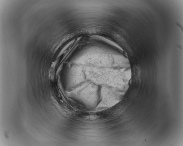 X0000101960212200808081535