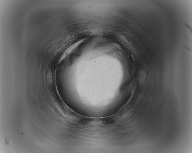 X0000101960213200808081535