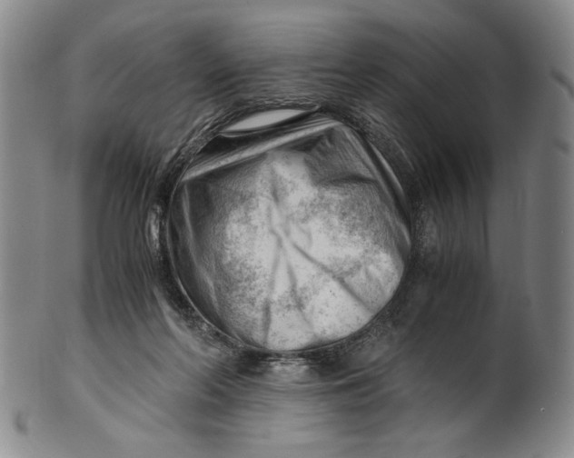 X0000101960214200808081535