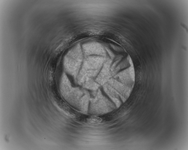 X0000101960215200808081535