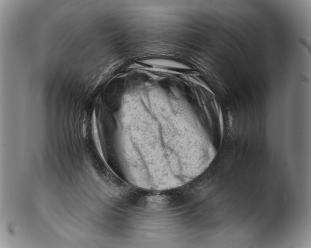 X0000101960216200808081535
