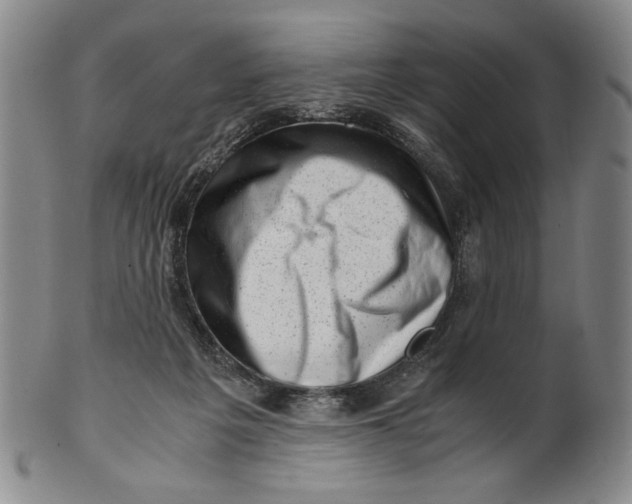 X0000101960217200808081535