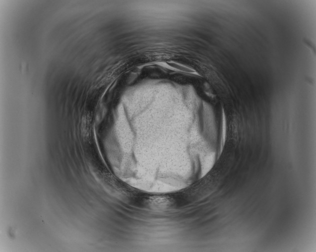 X0000101960218200808081535