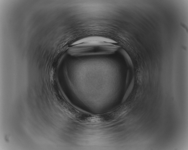 X0000101960219200808081535