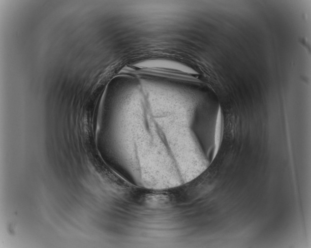 X0000101960220200808081535
