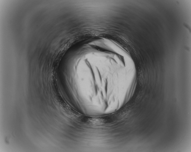 X0000101960221200808081535