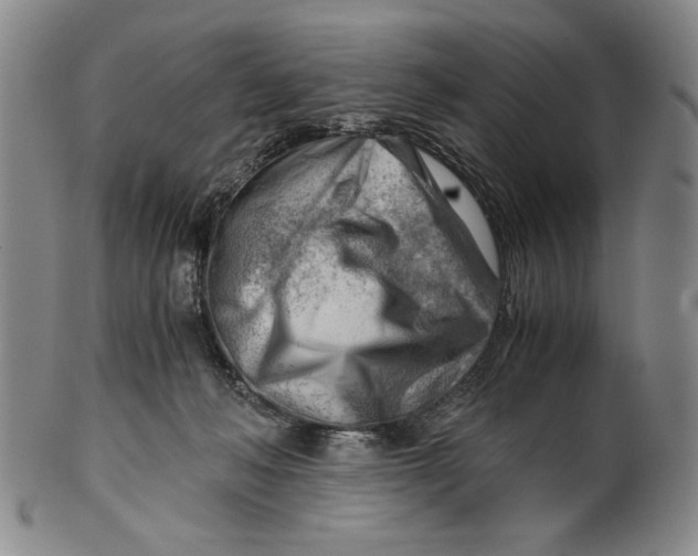 X0000101960222200808081535