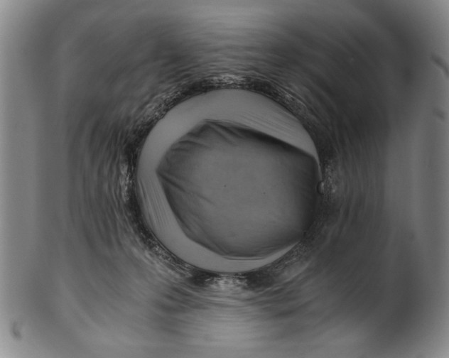 X0000101960223200808081535