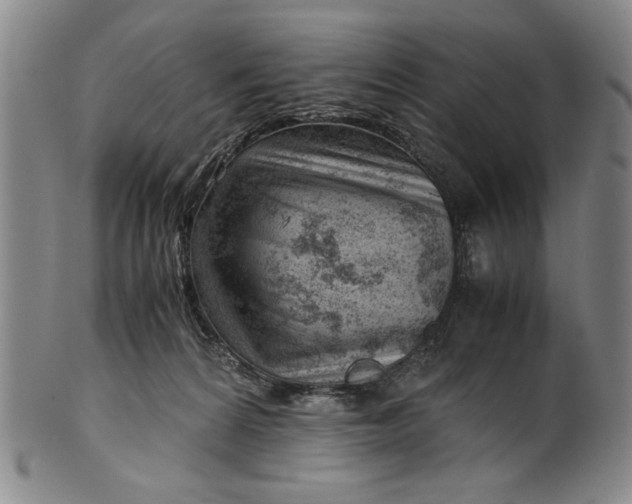 X0000101960224200808081535