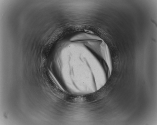 X0000101960225200808081535