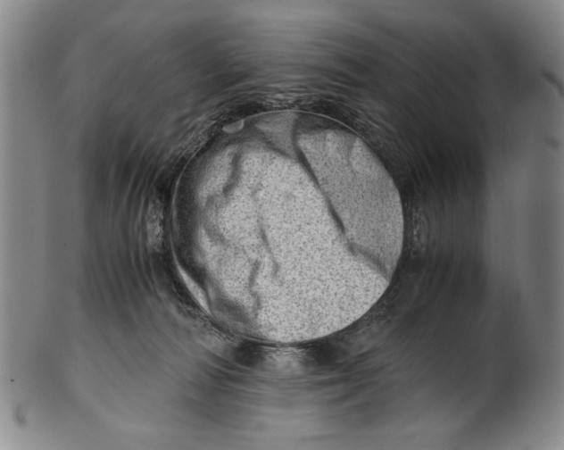 X0000101960226200808081535
