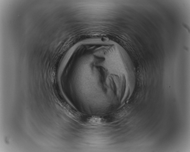 X0000101960227200808081535
