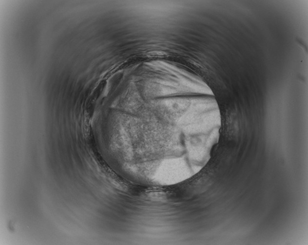 X0000101960228200808081535