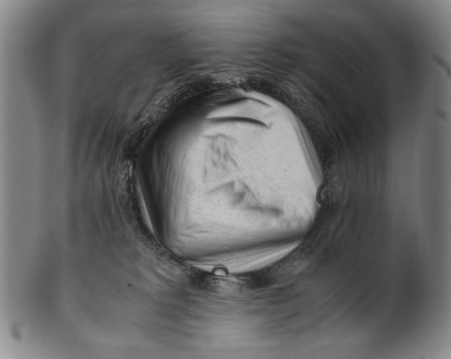 X0000101960229200808081535