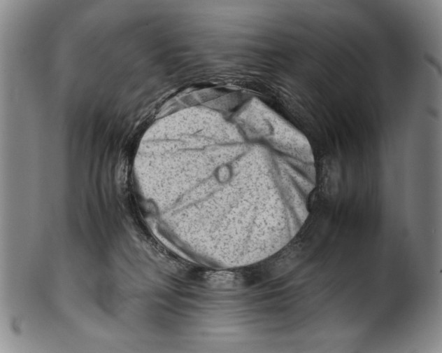 X0000101960230200808081535