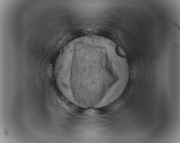 X0000101960231200808081535