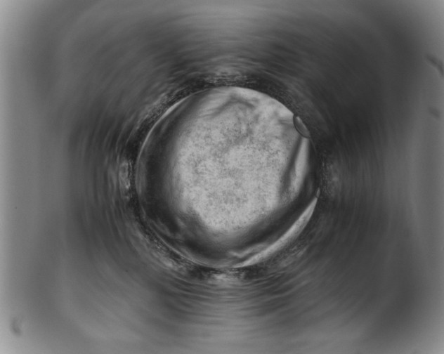 X0000101960232200808081535