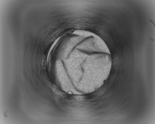 X0000101960233200808081535
