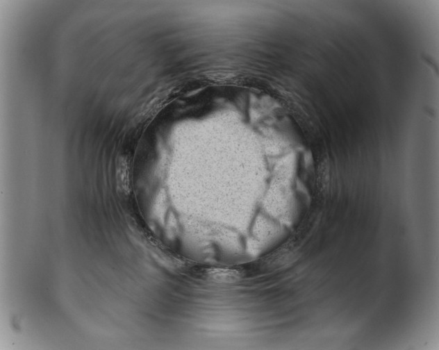 X0000101960234200808081535