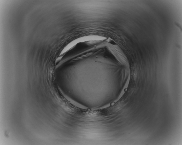 X0000101960235200808081535