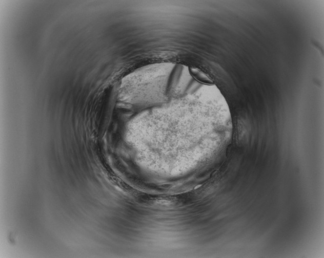 X0000101960236200808081535