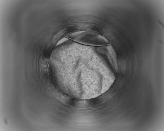 X0000101960237200808081535