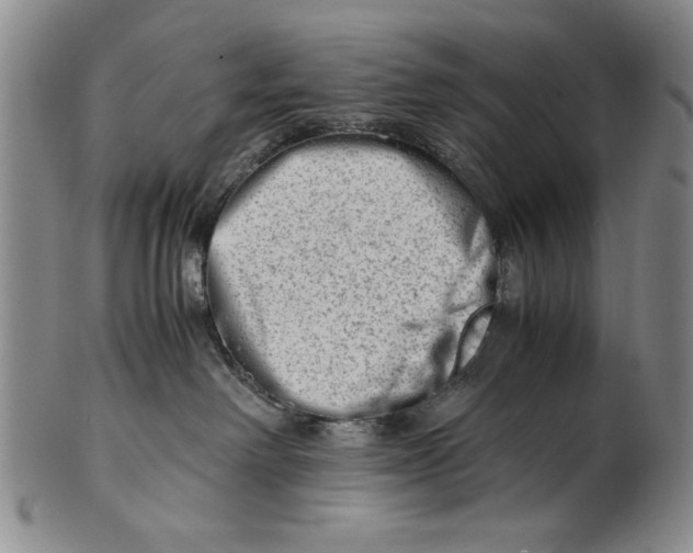 X0000101960238200808081535