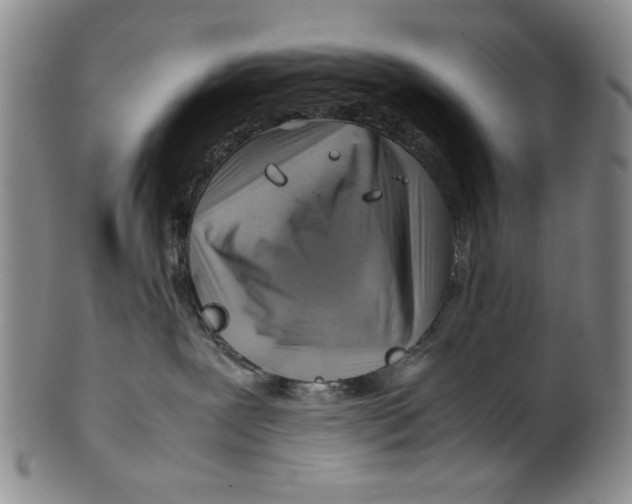 X0000101960239200808081535