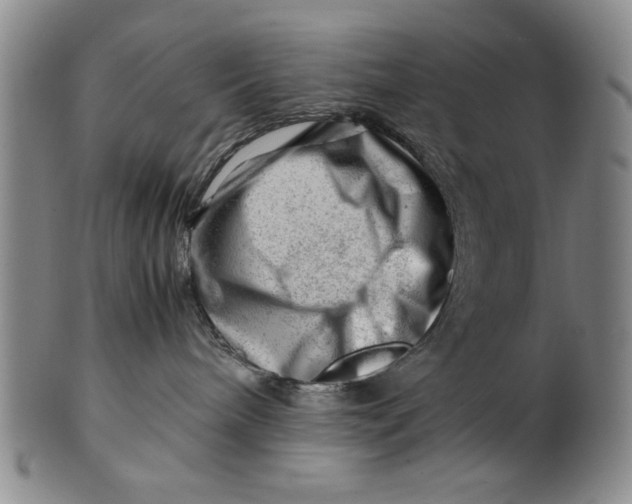 X0000101960240200808081535