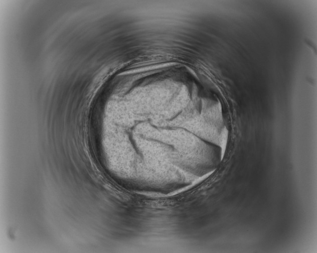 X0000101960241200808081534
