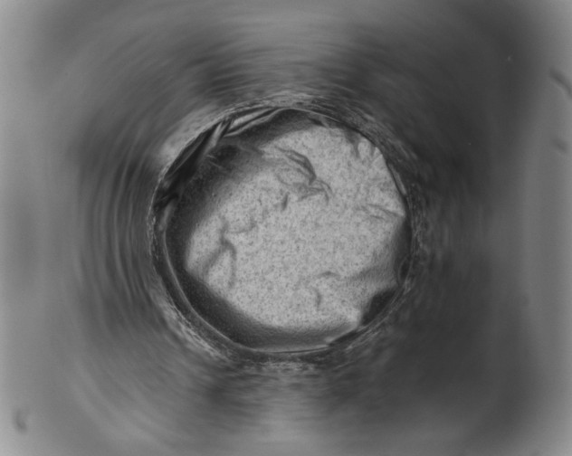 X0000101960242200808081534