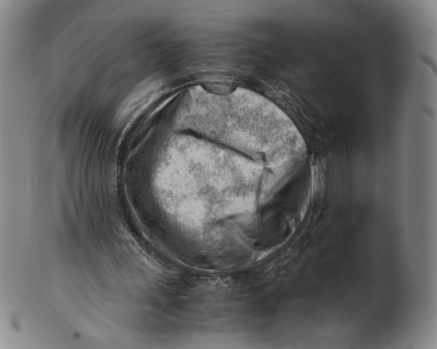 X0000101960243200808081534