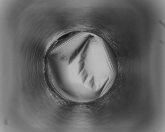 X0000101960244200808081534