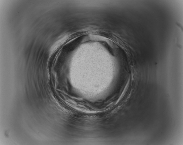 X0000101960245200808081534