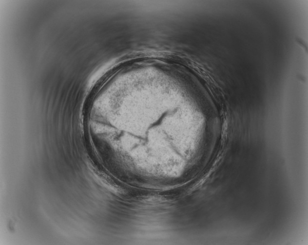 X0000101960246200808081534