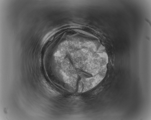 X0000101960247200808081534