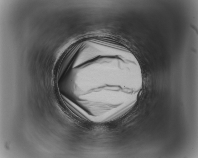 X0000101960248200808081534