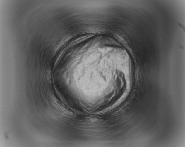 X0000101960249200808081534