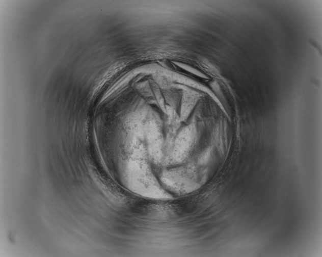 X0000101960250200808081534