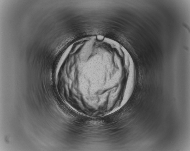 X0000101960251200808081534