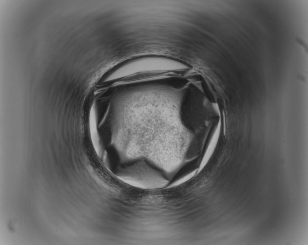 X0000101960252200808081534