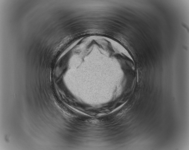 X0000101960253200808081534