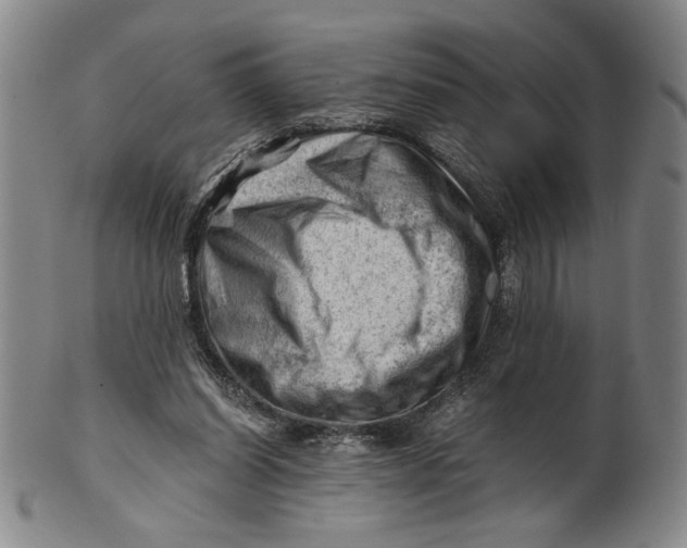 X0000101960254200808081534