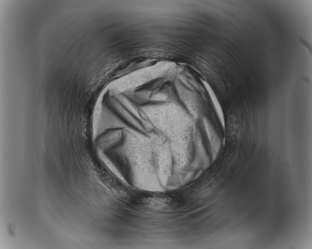 X0000101960255200808081534