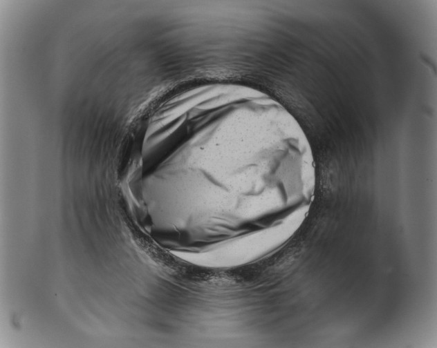 X0000101960256200808081534