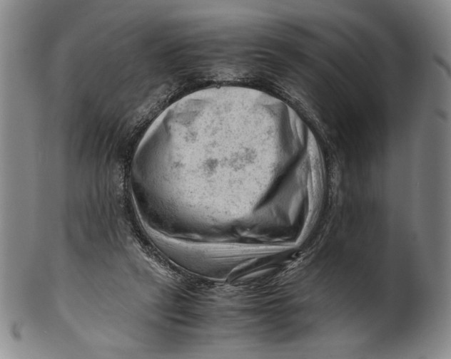 X0000101960257200808081535