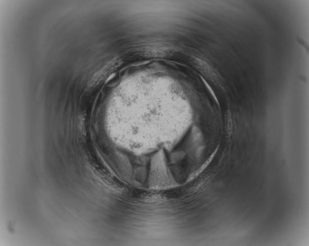 X0000101960258200808081535
