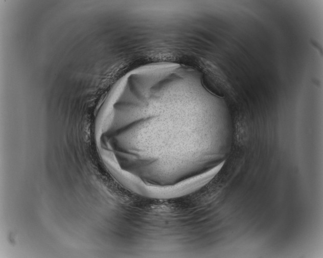 X0000101960259200808081535