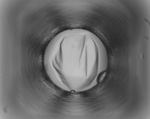 X0000101960260200808081535